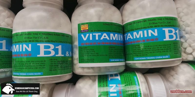 vitamin-b1-cho-ga