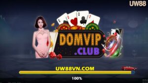 DomVip Club