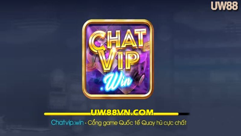 ChatVip79 vin