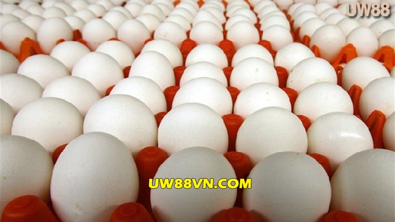 Năng suất đẻ trứng của giống gà Lơ go