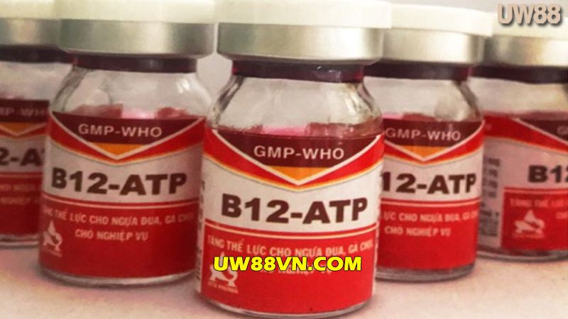 B12 - ATP là thuốc bổ sung vitamin cho gà ở dạng tiêm