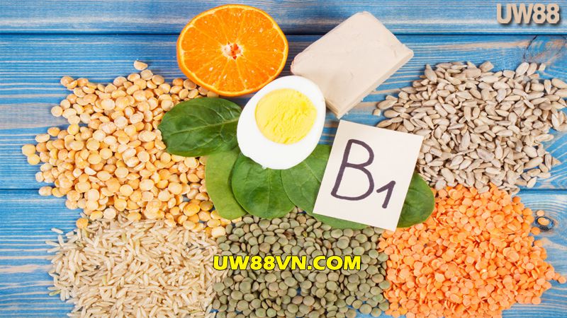 Vitamin B1 hỗ trợ quá trình thay lông ở gà chọi