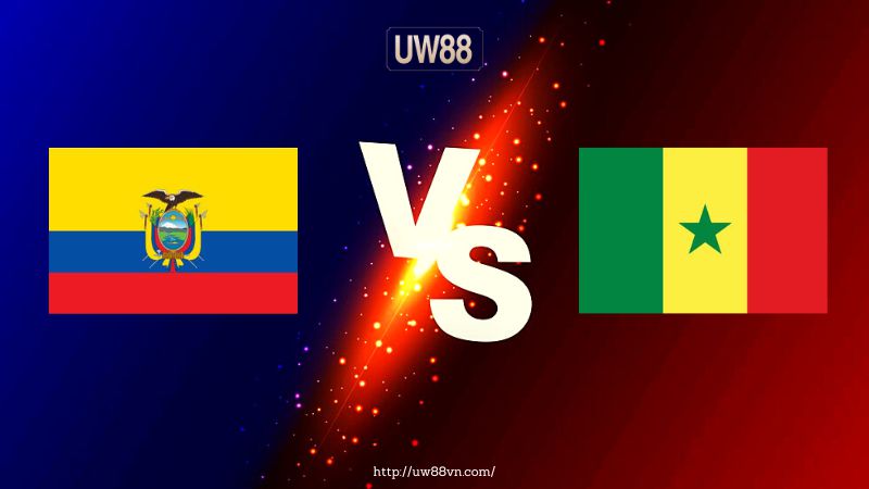 Link Xem Ecuador vs Senegal (Acestream) | Trực tiếp 22h00 ngày 29/11
